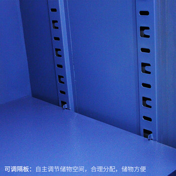 飞尔（FLYER）装备柜 应急钢叉盾牌防暴器材柜【装备柜】