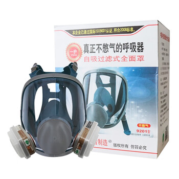 一护 KN95防毒全面具【防甲醛】 6005CN防毒全面具套装(7件套)