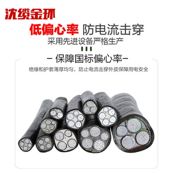 沈缆金环 ZR-VLV22-0.6/1KV-2*10mm² 国标阻燃铝芯钢带铠装电力电缆 1米