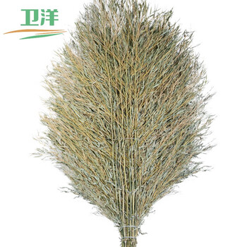 卫洋 WY-001 手工扫把  清洁环卫工大扫把木柄5斤款一个装