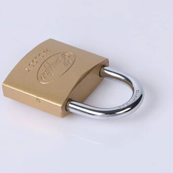 竹特 一字匙仿铜挂锁 防盗锁 防水大门锁 仓库门锁锁头 小锁子柜子抽屉箱子锁50mm(企业定制)