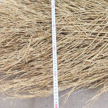 工霸（GONGBA）手工大竹扫 加厚环卫大扫把大扫帚 特制 竹把（1把）定制