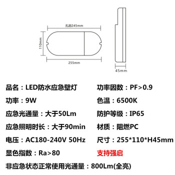 东君 LED防水消防应急壁灯 支持强启 IP65 DJ-03M 9W 白光 1箱（30盏装）