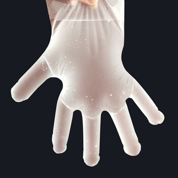 大杨一次性TPE手套 触屏卫生 100只/盒 透明030 L码大号男款码