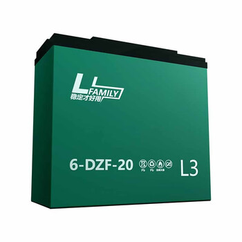 贝工 一体化设计铅酸电池 电动车照明电源装置 一组4支 48V 32AH 天能系列
