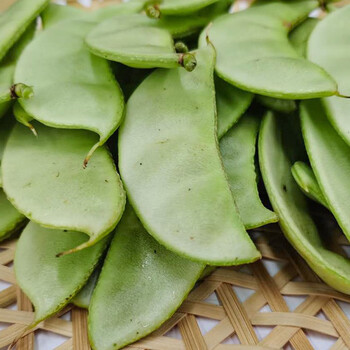 寿禾刀豆种子四季架豆扁豆阳台春季播种四季蔬菜种孑苗种苗豆角菜籽