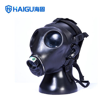 海固（HAI GU）700TPE全面罩防毒套装定做 面罩+三级罐E7 酸性套装