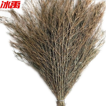 冰禹 BYB-169 竹子扫把竹扫帚 马路工地扫把 大竹扫环卫大扫帚 竹竿扫帚5斤10个