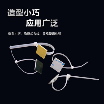 飞尔（FLYER）自粘式扎带固定座 吸盘塑料定位片【25×25mm 3M胶+2.8×200mm 扎带 黑色 各100只】