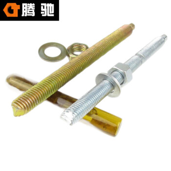 腾驰（CT）028 化学锚栓（带药水） M8-M30全系列  304不锈钢M12*160（20套）