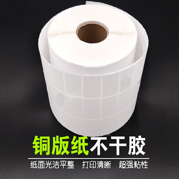 飞尔（FLYER）铜版纸 不干胶条码标签贴纸【 30*20*10000张/卷-三排】