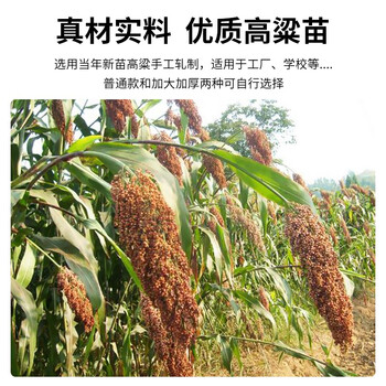 久洁（Jojell）扫把工厂车间专用簸萁套装老式加长手工小扫帚扫把饭店用高梁老式升级款3把