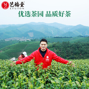 艺福堂绿茶春茶  安吉白茶明前特级100g2024年新茶EFU10 罐装天仙白
