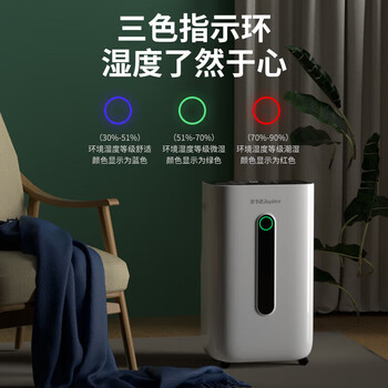 荣事达除湿机/抽湿机 20L/天除湿量 家用室内轻音除湿器 负离子群空气净化RSD-FD5250