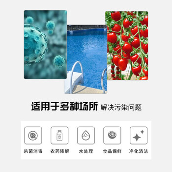 兰蒂斯LDSECO高浓度臭氧牛仔漂白水一体机 杀菌脱色降解定制设备臭氧发生器LCF-SH-Ⅲ