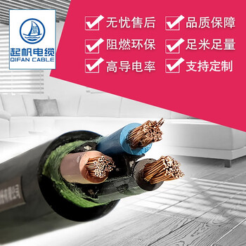 起帆（QIFAN）电缆 YC5*6平方重型橡套软线（按需生产）黑色 10米 100米起售