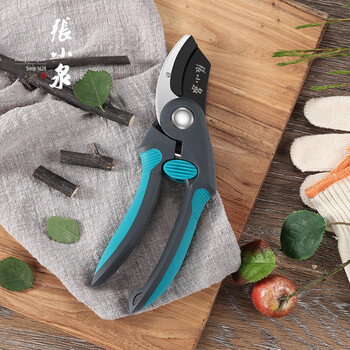 张小泉 春悦·润系列整枝剪 进口SK5钢园林剪刀果蔬修剪子园艺剪果枝剪 剪刀 整枝剪210mm ZH-316