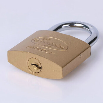 竹特 一字匙仿铜挂锁 防盗锁 防水大门锁 仓库门锁锁头 小锁子柜子抽屉箱子锁50mm(企业定制)