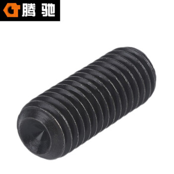 腾驰（CT） 内六角凹端紧定螺丝 DIN916 合金钢 12.9 发黑  M2.5*3(500支/包）