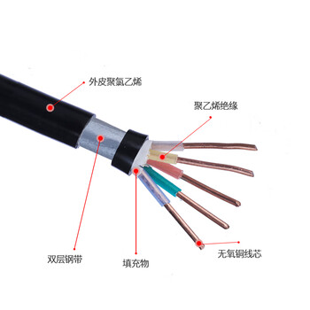 国超电缆 ZC-YJV22-0.6/1KV-2*2.5铜芯国标铠装户外地埋防老化2芯电力电缆 1米【现货】