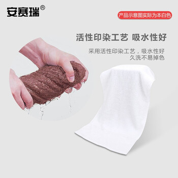 安赛瑞  毛巾 柔软吸水毛巾 74x33cm 加厚清洁毛巾 洗脸巾面巾擦手巾 白色 710876