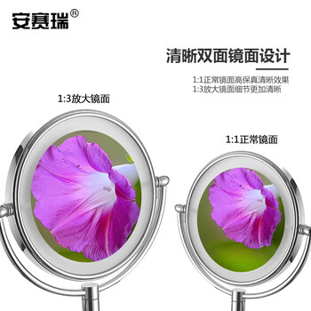 安赛瑞 led化妆镜 台式梳妆镜 8英寸双面梳妆镜便携浴室美容镜 银白 710780