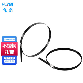 飞尔（FLYER） 304不锈钢自锁扎带4.6×800mm 100根 耐腐蚀耐高低温【FL002Z】