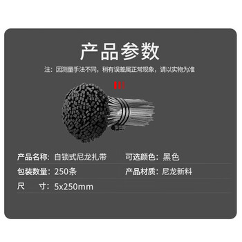 飞尔（FLYER）尼龙扎带 自锁式扎带 黑色扎带 管道绑扎带 线路捆扎带 250条装【5mmx250mm】