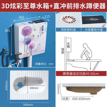 星期十 B款无S弯前排水+至尊水箱陶瓷蹲便器冲水箱套装大便器防臭蹲坑便池定制