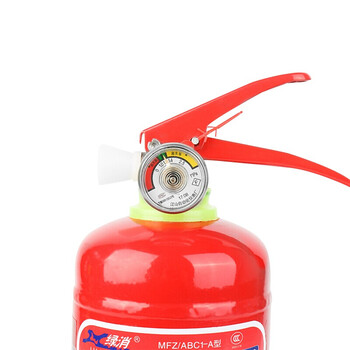 绿消 2公斤干粉灭火器新国标 车载灭火器 汽车灭火器 家庭用商用消防灭火器2kg消防器材MFZ/ABC2