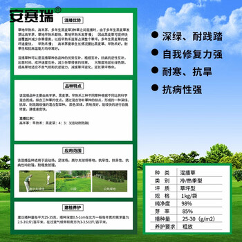 安赛瑞 草坪种子 四季青草籽实验田区护坡1kg高羊茅早熟禾黑麦草混播草种 机场用耐寒耐 531031