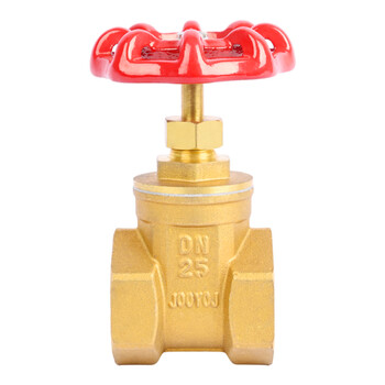 匡建仪表（CONJANT）铜截止阀 加厚黄铜 硬密封低进高出饱和蒸汽高温高压自来水阀门单向截门 DN25 