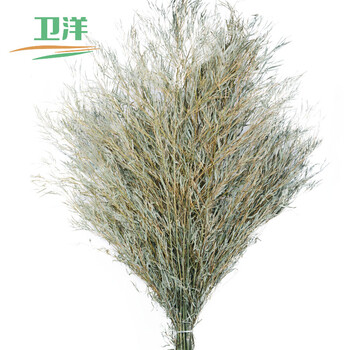 卫洋 W00354 大扫把 马路扫帚 中号2.6斤款 一体式手工扫把 清洁扫把物业工厂 环卫工扫地面植物笤帚 五把装