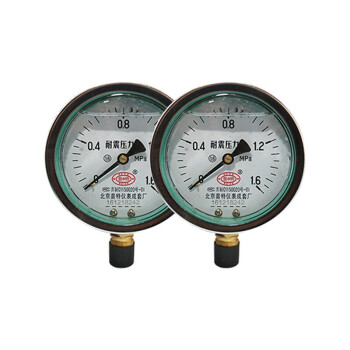 普特 YN150 0-1.6Mpa 径向 耐震压力表 1块（2块起拍）