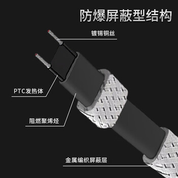 宽选工品 防爆电伴热带自控温 水管防冻加热带低温阻燃工业电热带 DXW-14ZPQ防爆红色35瓦/100米