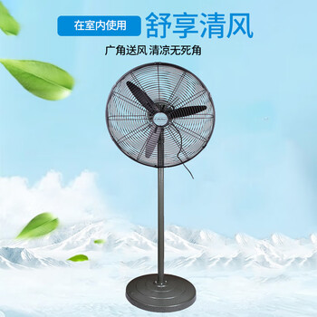 金羚工业电风扇强力落地扇大功率挂商用工厂牛角风扇三尖叶25寸FS2-65(3A)