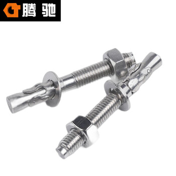 腾驰（CT）020 车修壁虎 316不锈钢 车修膨胀螺栓  M8*80（10个装）