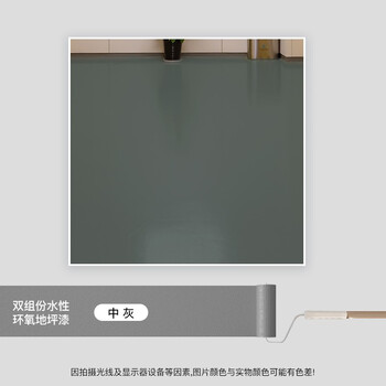 阿斯密 ASMES AS6215M 双组份水性环氧平涂哑光地坪漆面漆20kg 中灰