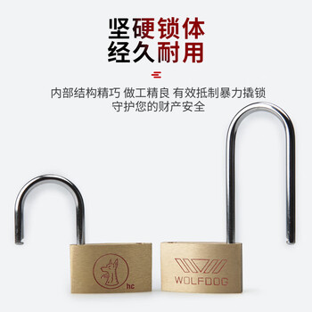 工品星 GPX-TGS铜挂锁通开挂锁小挂锁锁头全铜小锁小铜锁箱包表箱锁具短梁20mm通开锁3把钥匙