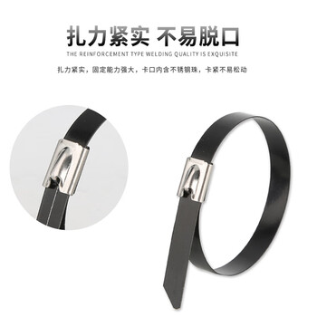 飞尔（FLYER）不锈钢扎带 金属钢带 束线带 电缆扎丝 黑色 100根/包【7.9×400MM】