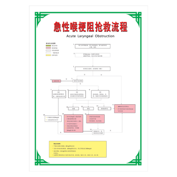 wsb169-22 急性喉梗阻抢救流程 60*40厘米 覆膜防水pp贴纸8元jd120