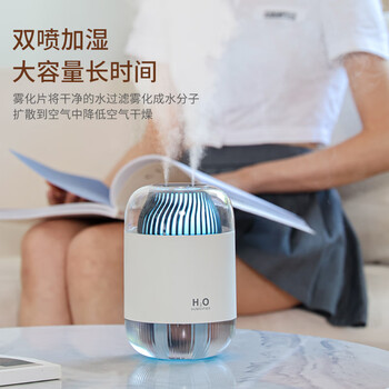 海纳斯（HANASS）加湿器双喷头小型办公室桌面大容量家用低音卧室宿舍充电便携空气加湿喷雾夜灯空调伴侣加湿器D12