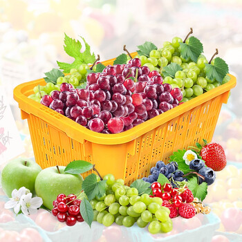 访客 FK 加厚塑料周转筐网眼周转箱物流中转塑料养殖物业红色长方形无把620*425*300mm