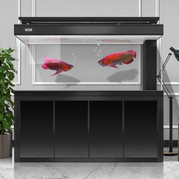 德克专业玩家级金龙鱼缸水族箱超白玻璃大型客厅公司生态鱼缸锦鲤定制