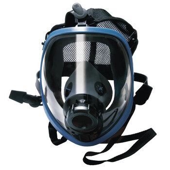 代尔塔（Deltaplus）106009 VEMASK01 硅橡胶空呼面罩 球型视窗 光学性能 防雾 定做 1个