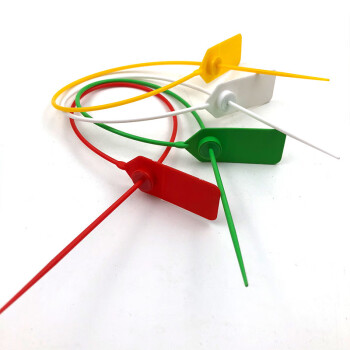 飞尔（FLYER）一次性标签扎带 物流封签扣 塑料封条 红色 22×600mm 100条起批