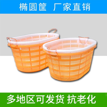 访客 FK 收纳筐塑料箩筐圆形蔬菜篮水产鱼虾养殖周转筐储物篮