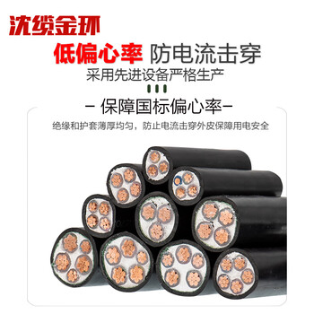 沈缆金环 ZR-YJV-0.6/1KV-2*16mm² 国标铜芯阻燃电力电缆 1米