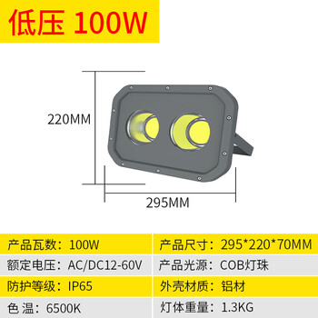 龙代（longdai）LED投光灯 低压12V-60V户外防水球场照射灯广场工地灯泛光灯 低压光效强100W工程白光款