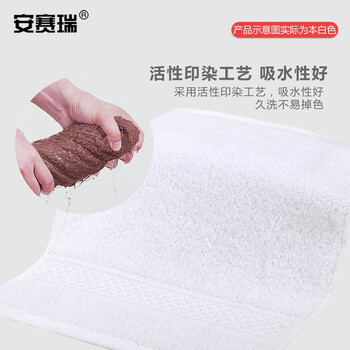安赛瑞  方巾 吸水加厚擦手巾 34x34cm 棉柔软吸水小毛巾 (2条装) 酒店宾馆美容院方巾 白色 710894